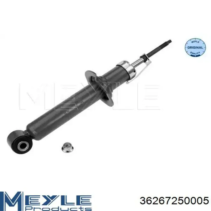 Comprar RS317134 Raiso Amortiguador trasero