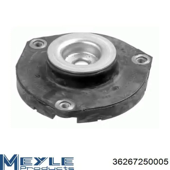 Amortiguador trasero RS317134 Raiso