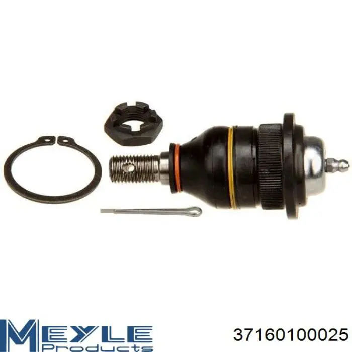 Comprar TC595 Delphi Rótula de suspensión