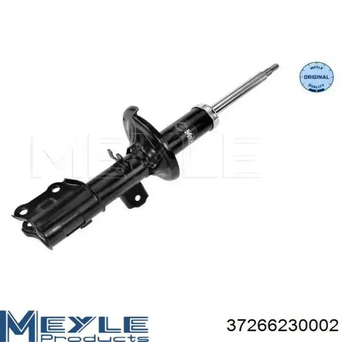 Comprar RS317598 Raiso Amortiguador delantero izquierdo
