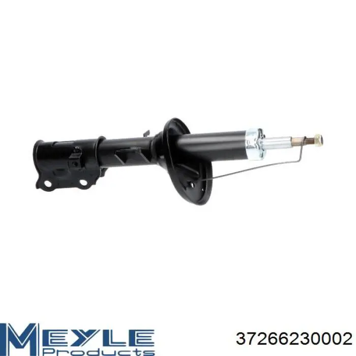 Amortiguador delantero izquierdo RS317598 Raiso