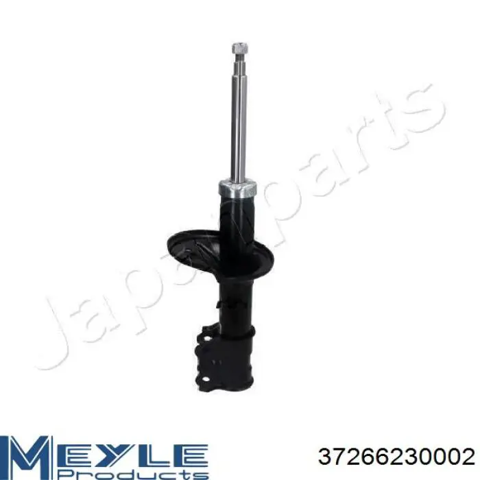 RS317598 Raiso Amortiguador frontal izquierdo