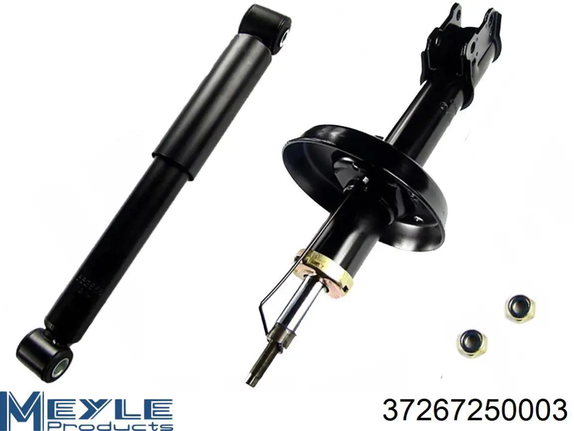 Amortiguador trasero RS314754 Raiso