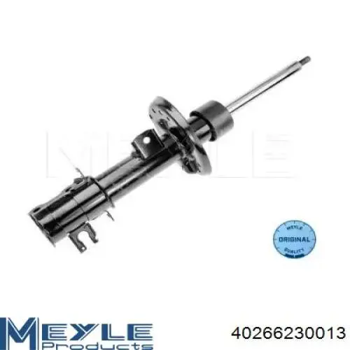 Amortiguador delantero izquierdo RS315125 Raiso