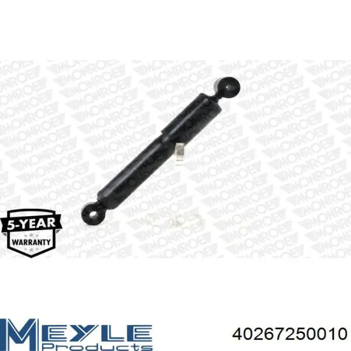 Amortiguador trasero Raiso RS314934 precio, desde 28,84 EUR