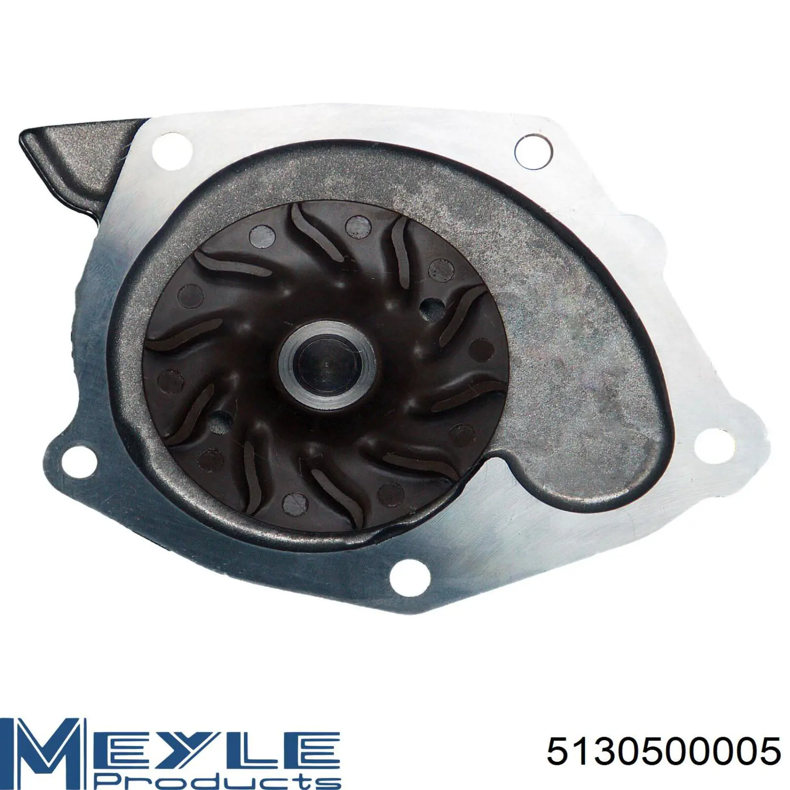 Bomba de agua 8660002090 Renault (RVI)