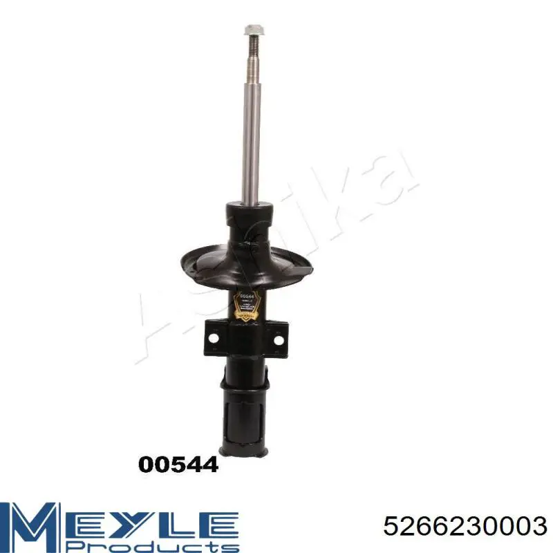Amortiguador RS554046 Raiso