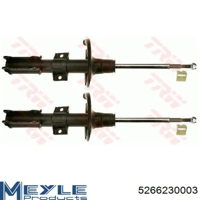 Comprar RS554046 Raiso Amortiguador