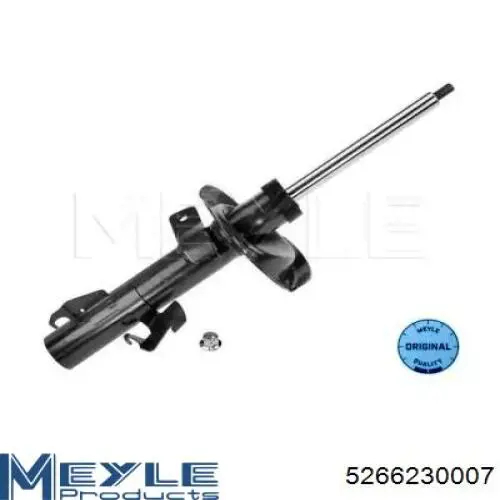Amortiguador delantero izquierdo RS313667 Raiso
