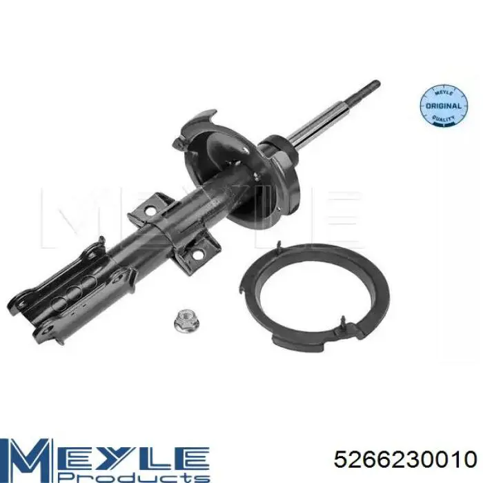 Comprar RS314125 Raiso Amortiguador