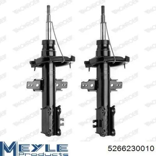 RS314125 Raiso Amortiguador frontal