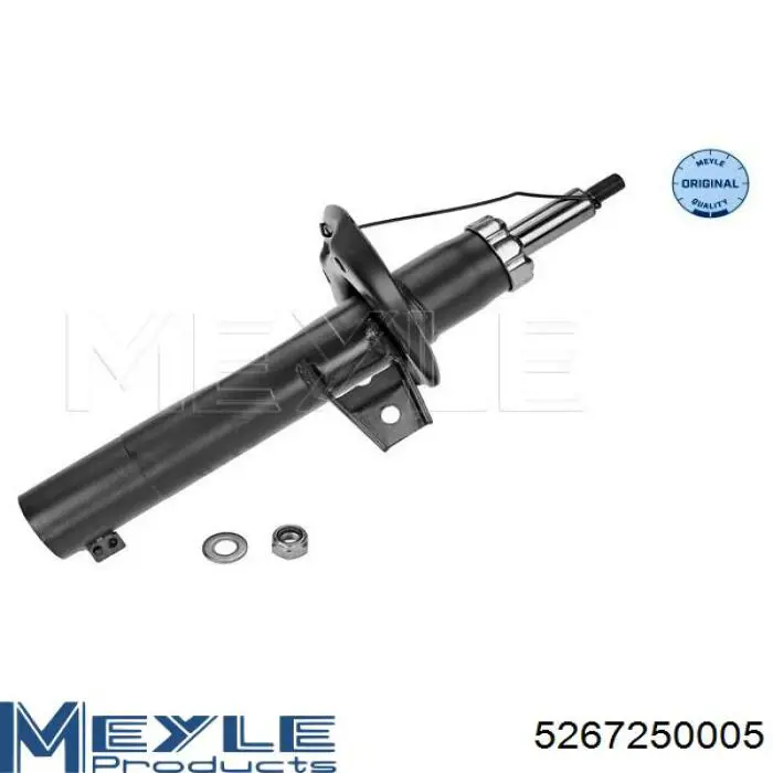 Amortiguador trasero 300074 Sachs
