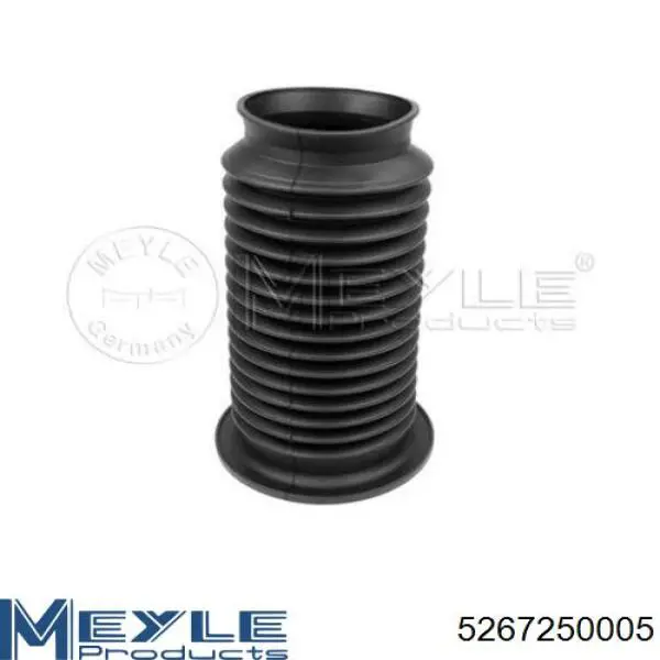 Amortiguadores traseros Sachs 300074