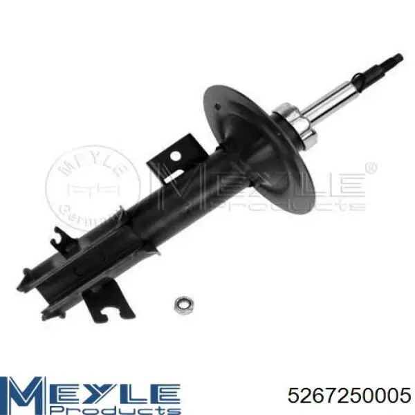 300074 Sachs Amortiguadores posteriores
