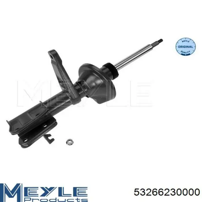 Amortiguador delantero derecho RS310021 Raiso