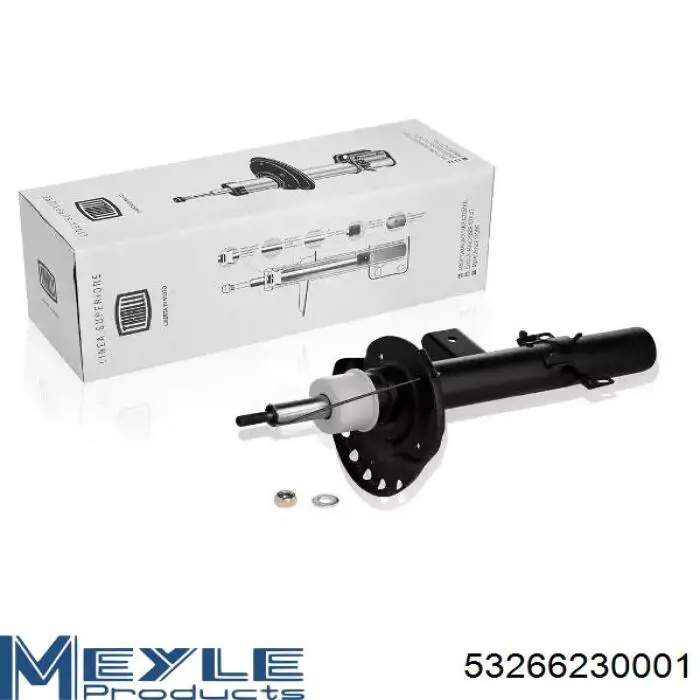 Amortiguador delantero izquierdo Raiso RS310022 precio, desde 75,50 EUR