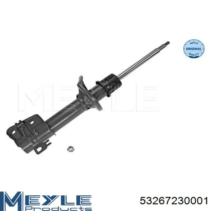 Comprar RS310024 Raiso Amortiguador trasero izquierdo
