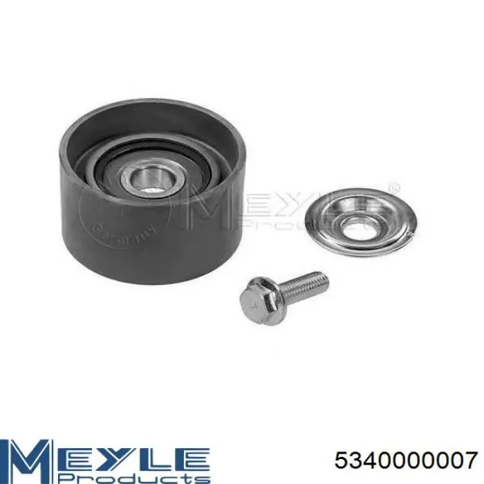 Polea inversión / guía, correa poli V 7421766717 Renault (RVI)