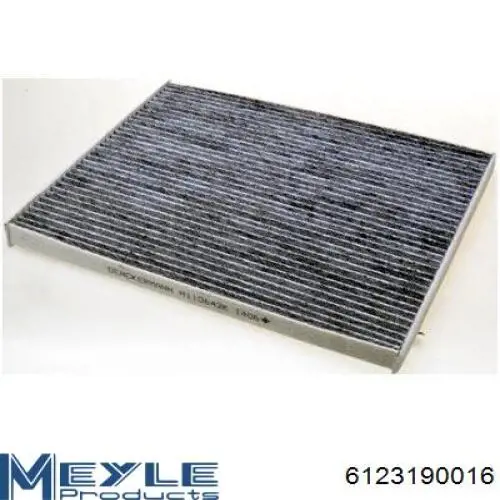 CAF208401 Open Parts Filtro antipolen