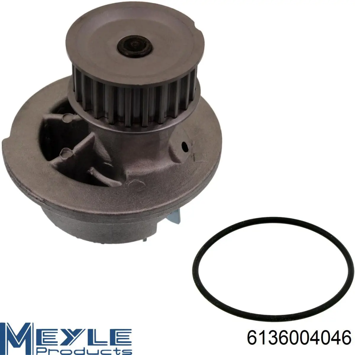 Bombeadora de agua Opel 90412740 precio, desde 28,98 EUR
