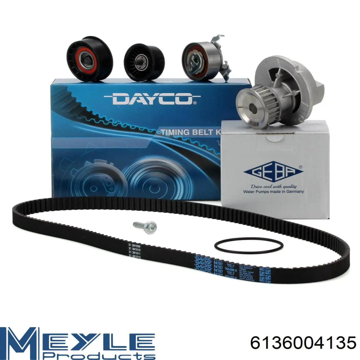 Motor de agua General Motors 6334036