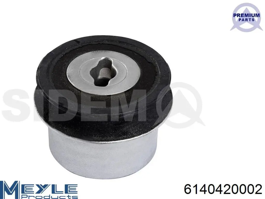 Buje delantero del brazo longitudinal trasero 480546 Cautex
