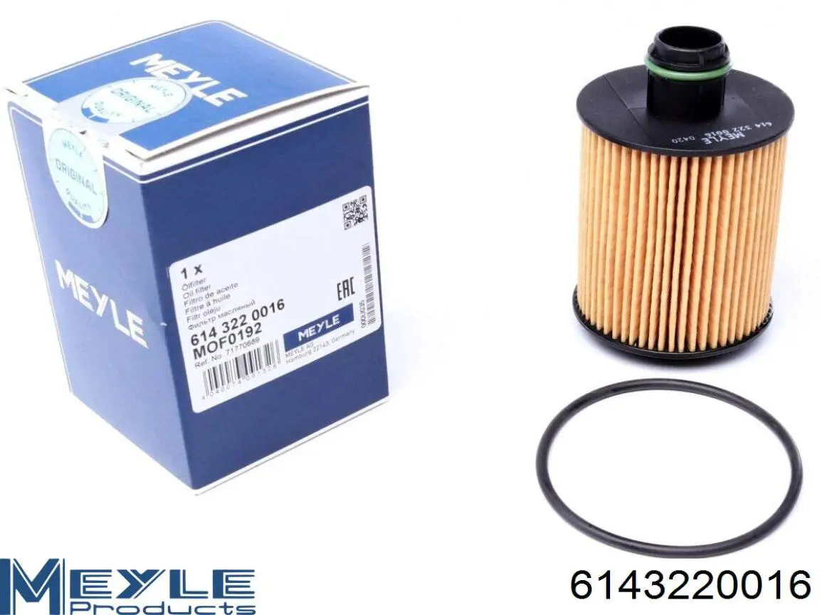 Filtro de aceite 1631954080 Peugeot/Citroen