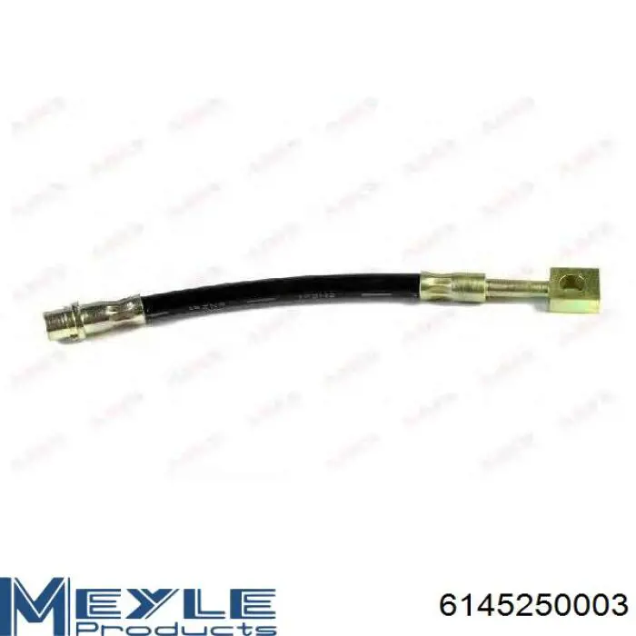 Tubo flexible de frenos delantero Delphi LH6510