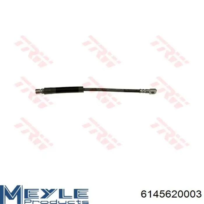 Latiguillos de freno delantero 90468319 General Motors
