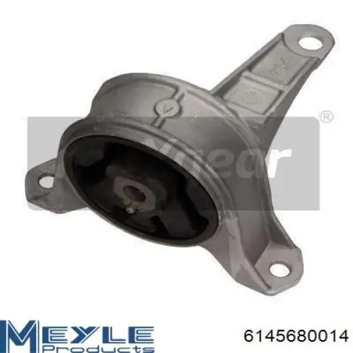  Cautex 480491