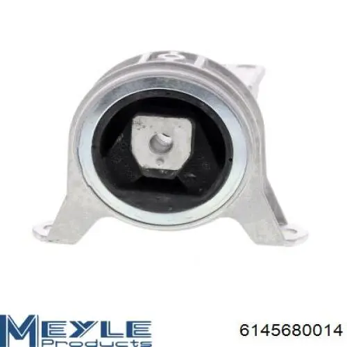 Comprar 480491 Cautex Soporte de motor derecho