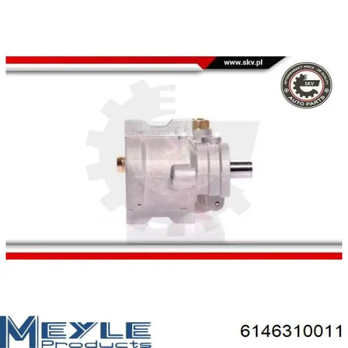 Bomba de dirección asistida  Renault (RVI) 491105169R precio, desde 33,40 EUR
