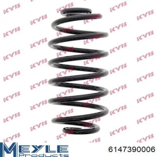 SR074TP Raiso Muelle trasero