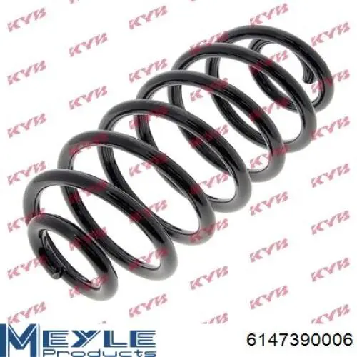Muelle de suspensión trasero Raiso SR074TP precio, desde 35,05 EUR