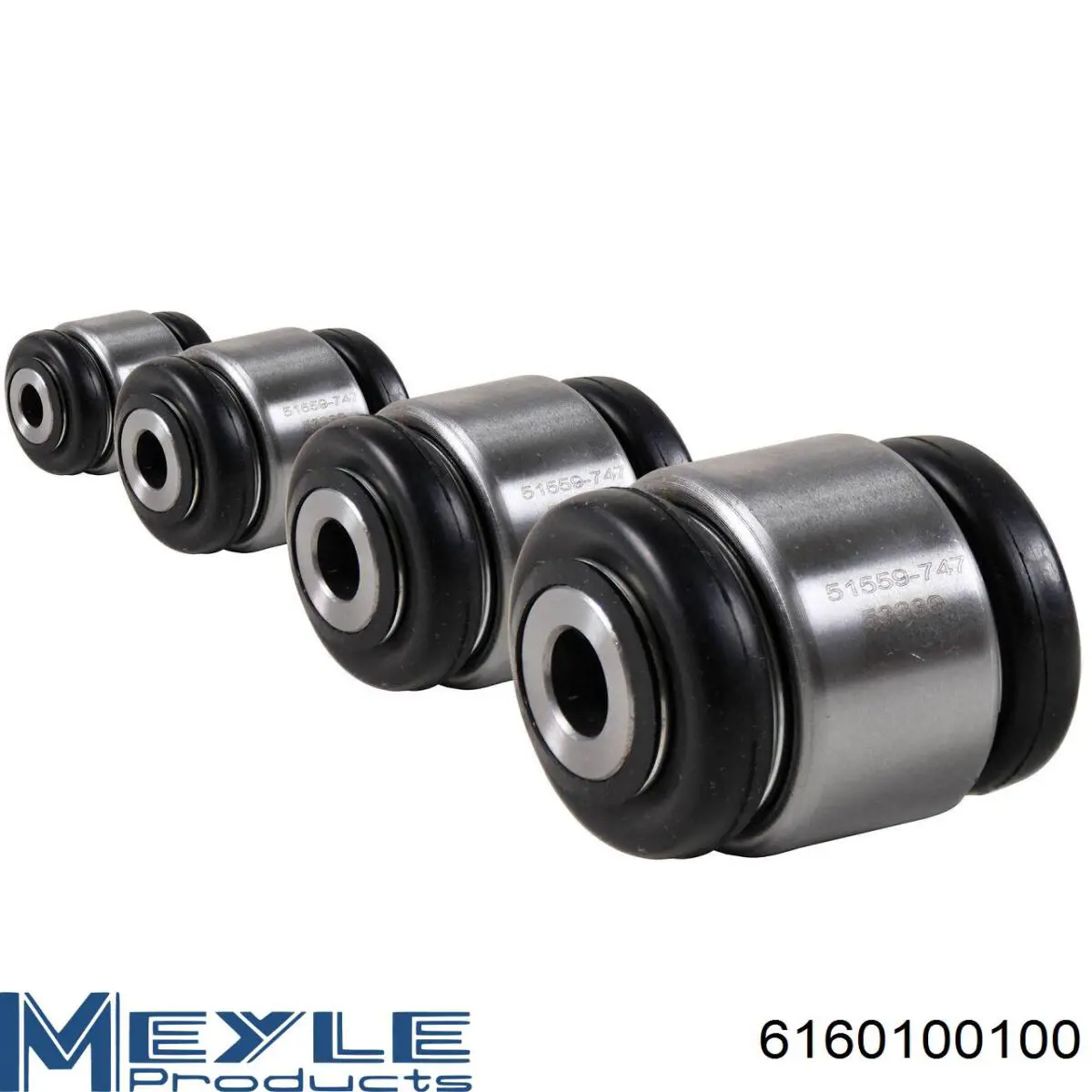 6160100100 Meyle Buje de mangueta trasera
