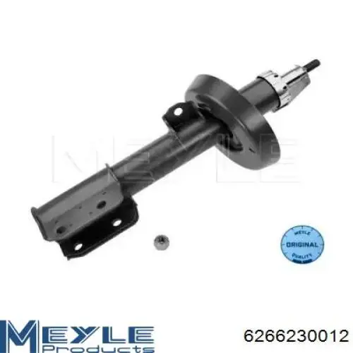 Amortiguador delantero derecho Raiso RS280360 precio, desde 55,04 EUR