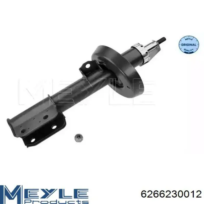 Comprar RS280360 Raiso Amortiguador delantero derecho