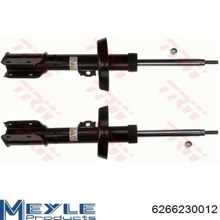 Amortiguador delantero derecho Raiso RS280360 precio, desde 51,62 EUR