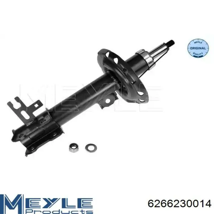 RS313480 Raiso Amortiguador frontal izquierdo