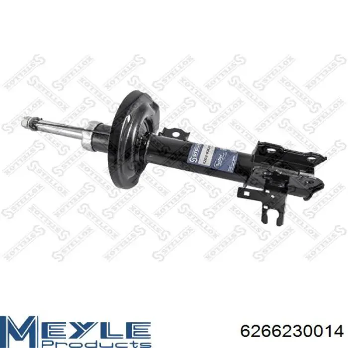 Amortiguador delantero izquierdo Raiso RS313480 precio, desde 62,23 EUR