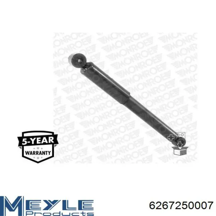 Amortiguador trasero RS317335 Raiso