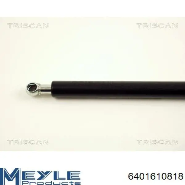 Muelle neumatico maletero Hans Pries (Topran) 205424