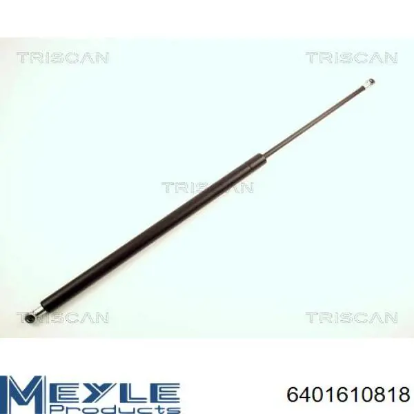 Amortiguador maletero 205424 Hans Pries (Topran)