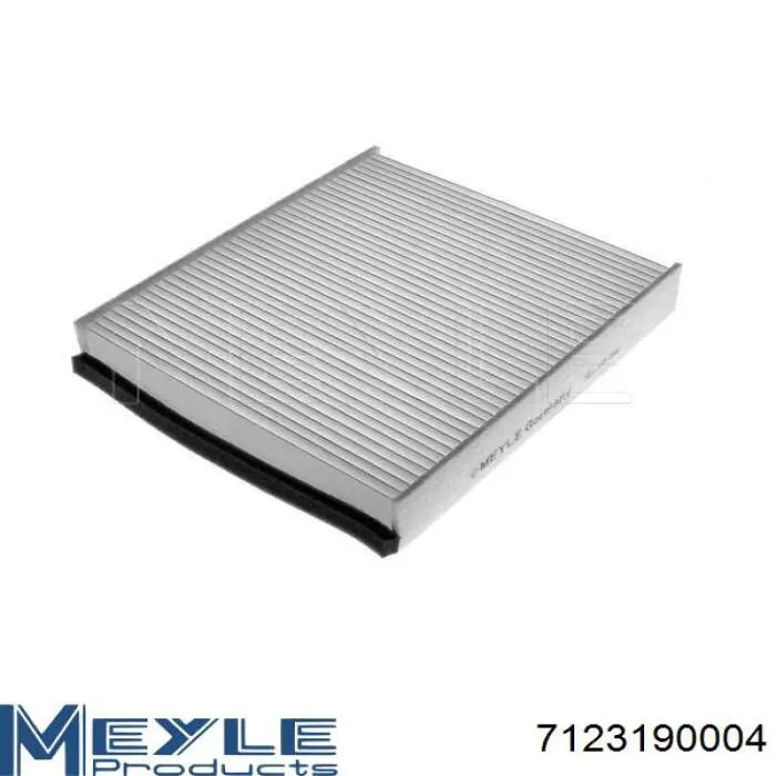 1138546 Ford Filtro antipolen