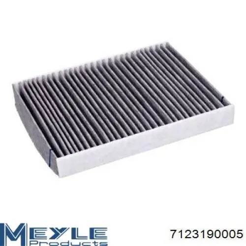 2S6H16N619AA Ford Filtro antipolen