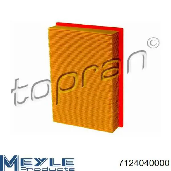 2437005 Ford Filtro de aire de motor