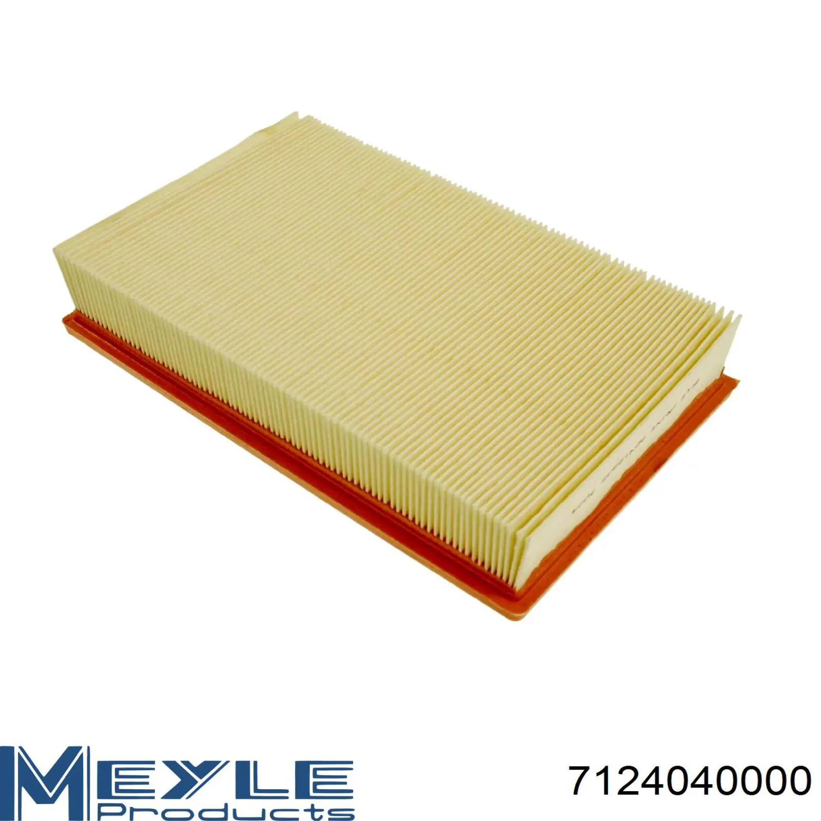 Comprar 2437005 Ford Filtro de aire