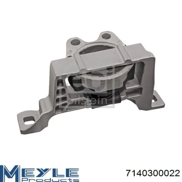 Soporte de motor derecho Reinhoch RH114020 precio, desde 46,46 EUR