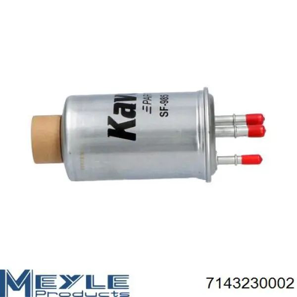 Filtro combustible Jaguar X-type CF1