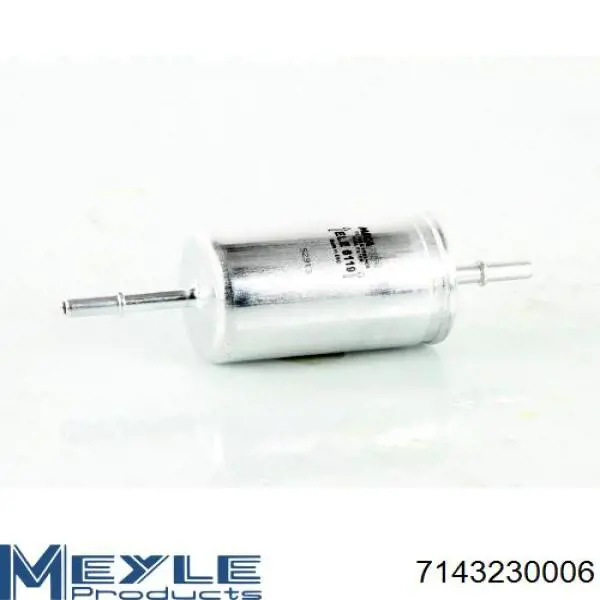 Comprar FG1074 Ford Filtro diesel